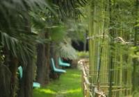 2023郑州园博园花朝汉服游园会什么时候开园？十二花神show在哪个舞台？