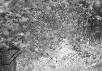 街拍怎么拍出高级感？手机如何拍出街拍视频？