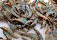 海鲜市场生意前景如何？海鲜消费哪里人比较多？